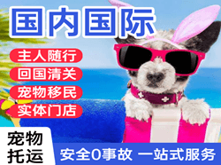 安阳红旗渠机场托运国际宠物托运 【国